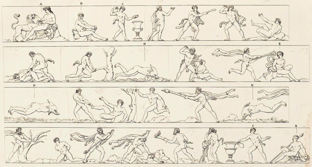 Drawings of an ancient Greek sculptural frieze showing men transforming into dolphins, amongst other things