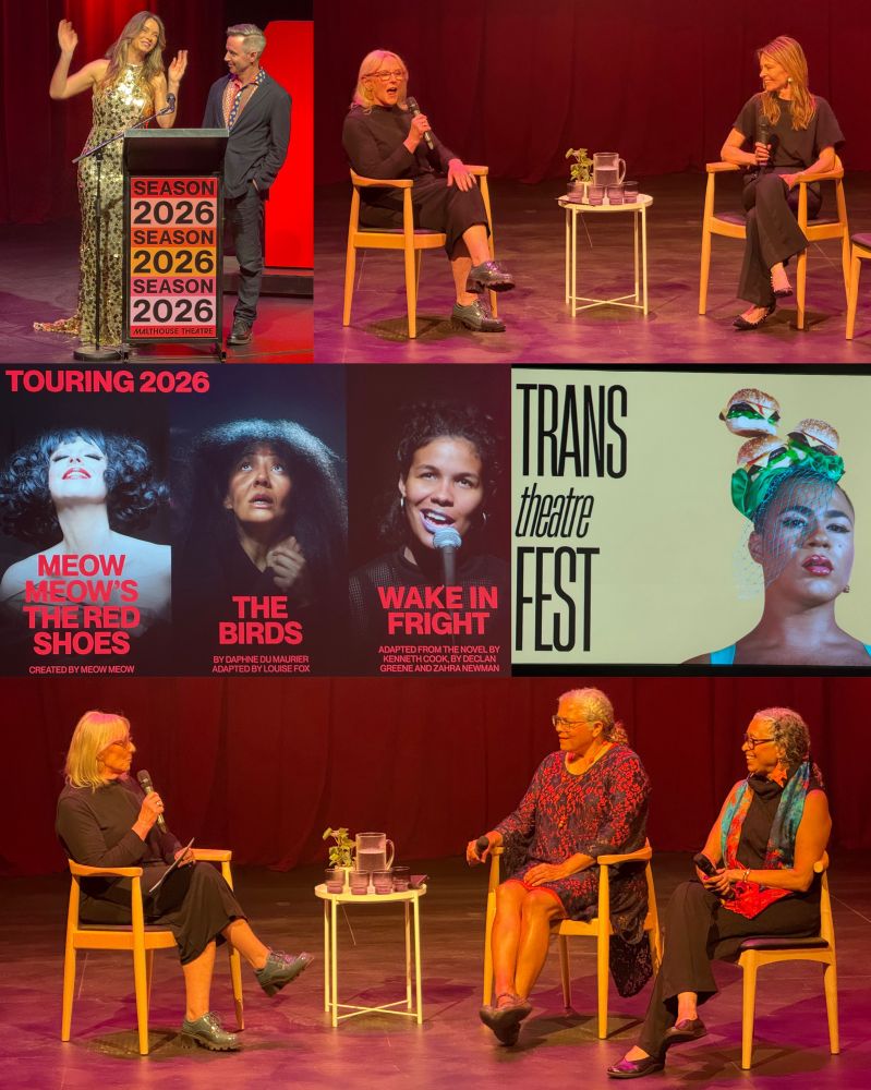 five photos in a theatre: people sitting talking, a woman in a sparkly dress with a demure man at a lectern, two posters showing productions of one-woman shows and trans theatre 