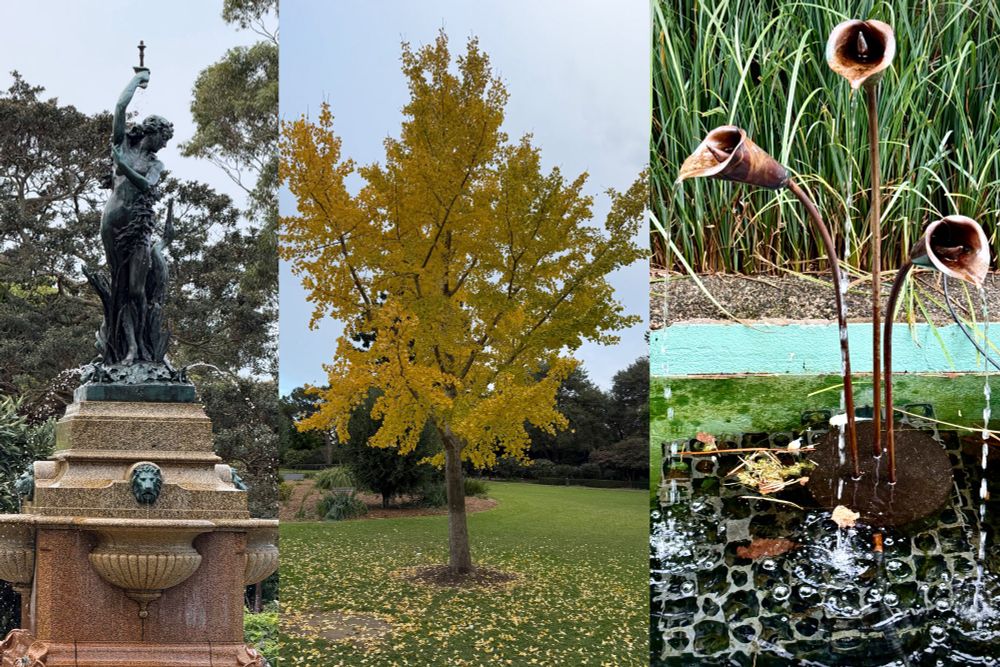 a sculptural fountain; a glowing ginkgo; metal arum lilies in a pond