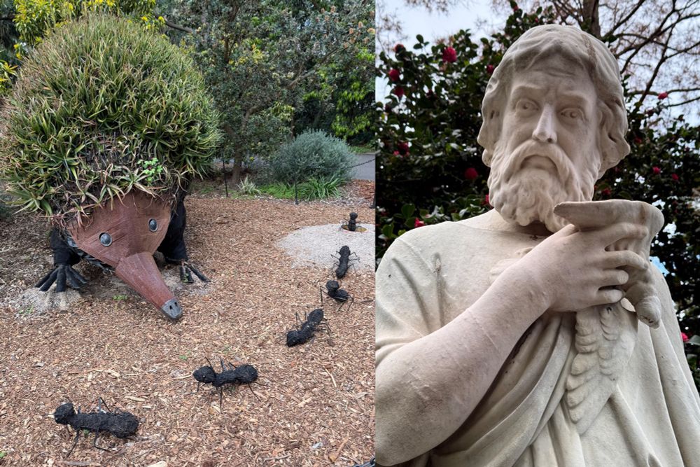 two garden sculptures: an echidna eyes off an ant trail; Keith looks askance 