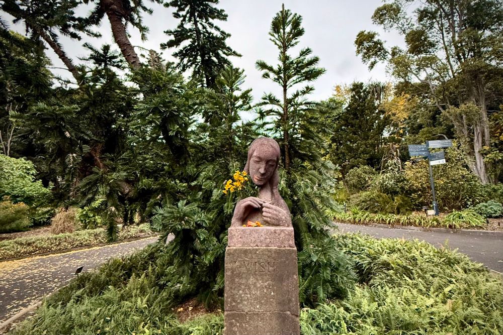 a sculpture of a lady in front of some scraggly Wollemi pines