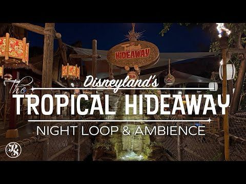 Tropical Hideaway Music Loop & Ambient Sounds | Nighttime - Disneyland