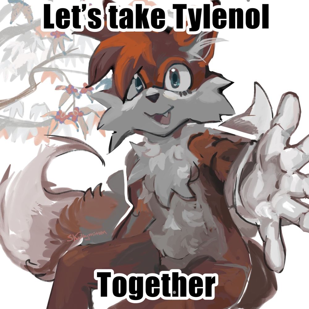 A digital painting of Miles Prower from the Sonic the Hedgehog series. With a small open smile, his out stretched hand to the viewer gestures for the viewers hand and it’s clipped by the right of the canvas. Behind him is a blank canvas and a branch of a dogwood tree with a few warm colored leaves and berries. Text in the impact font is on the top and bottom of the frame that reads “Let’s take Tylenol. Together.”