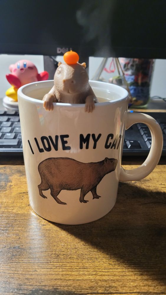 A capybara tea infuser inside a capybara mug. The mug says "I love my cat."