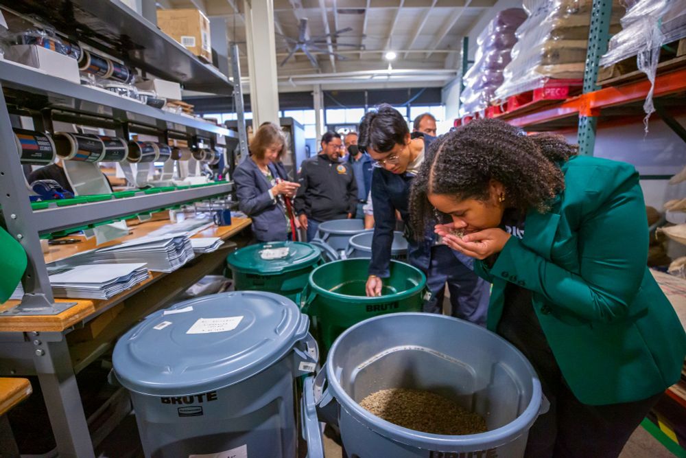 Candice and others smelling the fresh, unroasted coffee beans. 