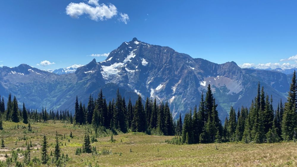 A mountain in the distance, holding a glacier in a bowl on the left side of the peak, pines in the mid ground with a meadow in the foreground. It's the middle of the day, with a blue sky and a few clouds.  