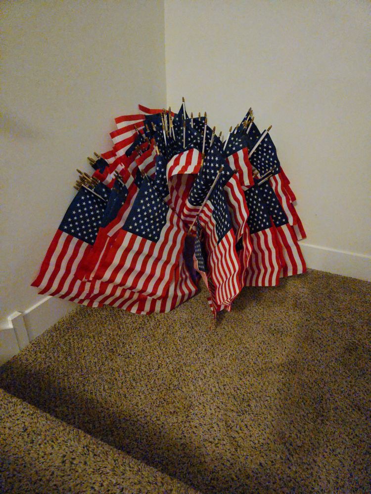 Nine dozen American flags for No Kings Day