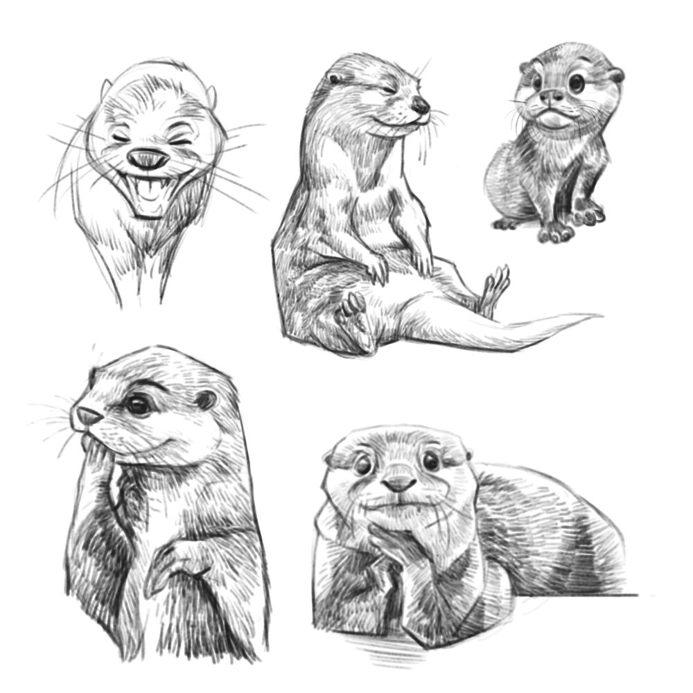 he images shows a series of sketches of otters in a semi cartoonish style.