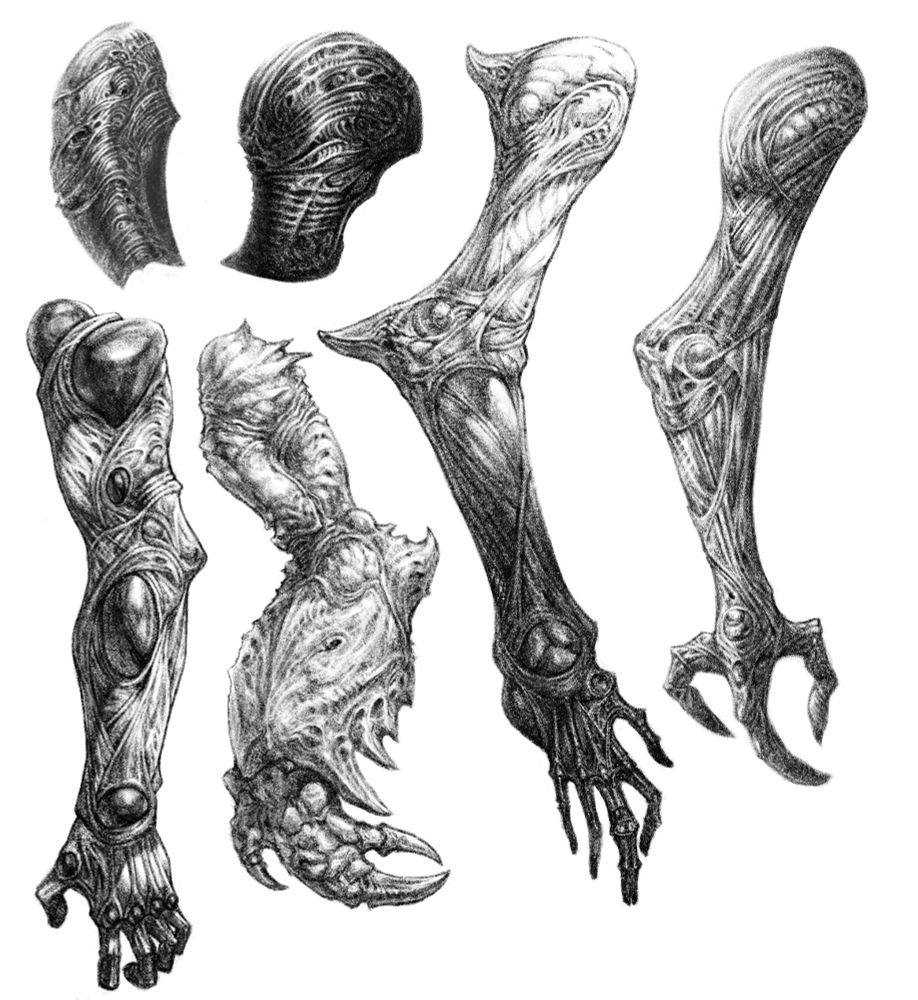 Drawing of different creature parts and partial sketches of a type of armor. There is a bunch of arms design based on insects and crustaceans features.