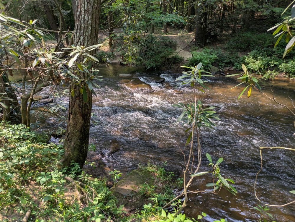 Rapids on Byrds Creek