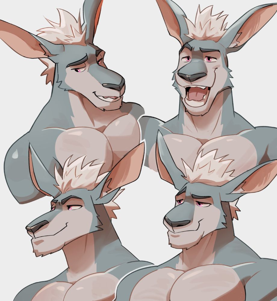 Rupert the kangaroo doing a couple of smiley facial expressions and different angles