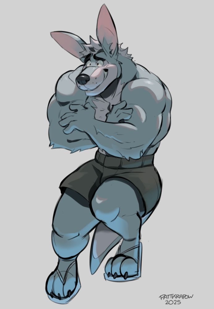 A hunky kangaroo named Rupert acting shy and smiling sheepishly