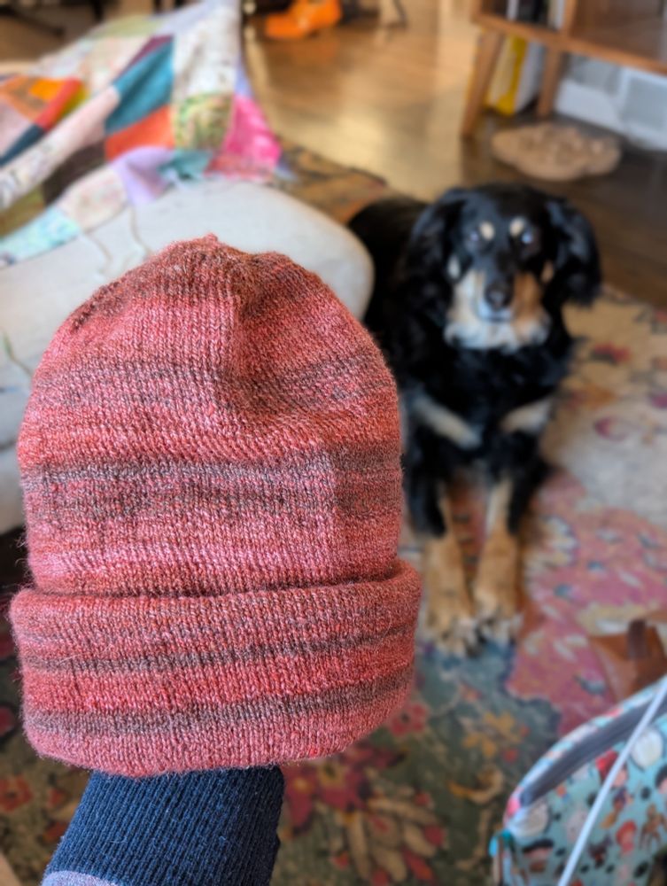 a person holds up a double layer stockinette hat with a folded brim, which was knitted with red, pink, and brown fractal-spun yarn. a German shepherd mix looks at the hat from the background with desire in her eyes.