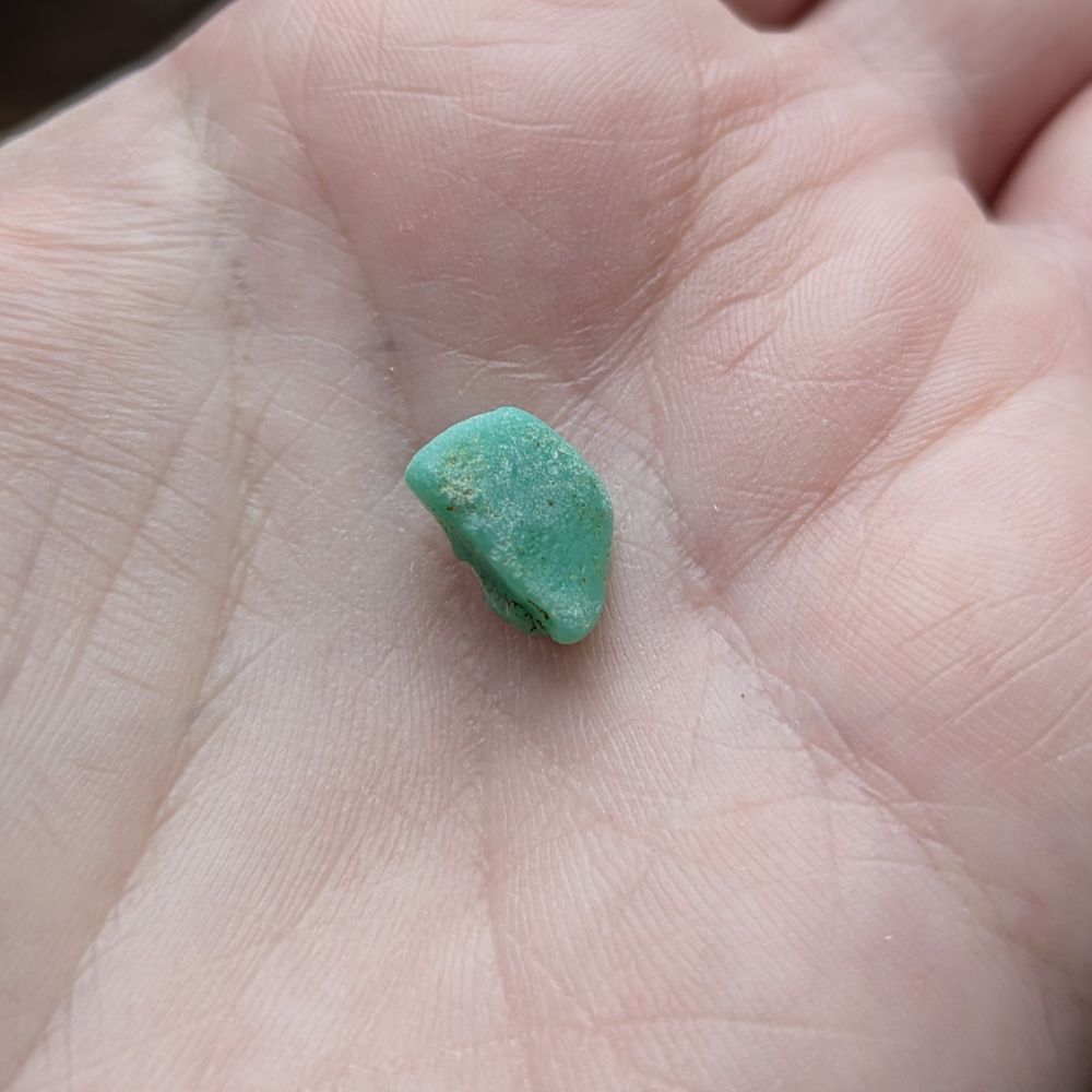 Aqua green coloured fragment on palm
