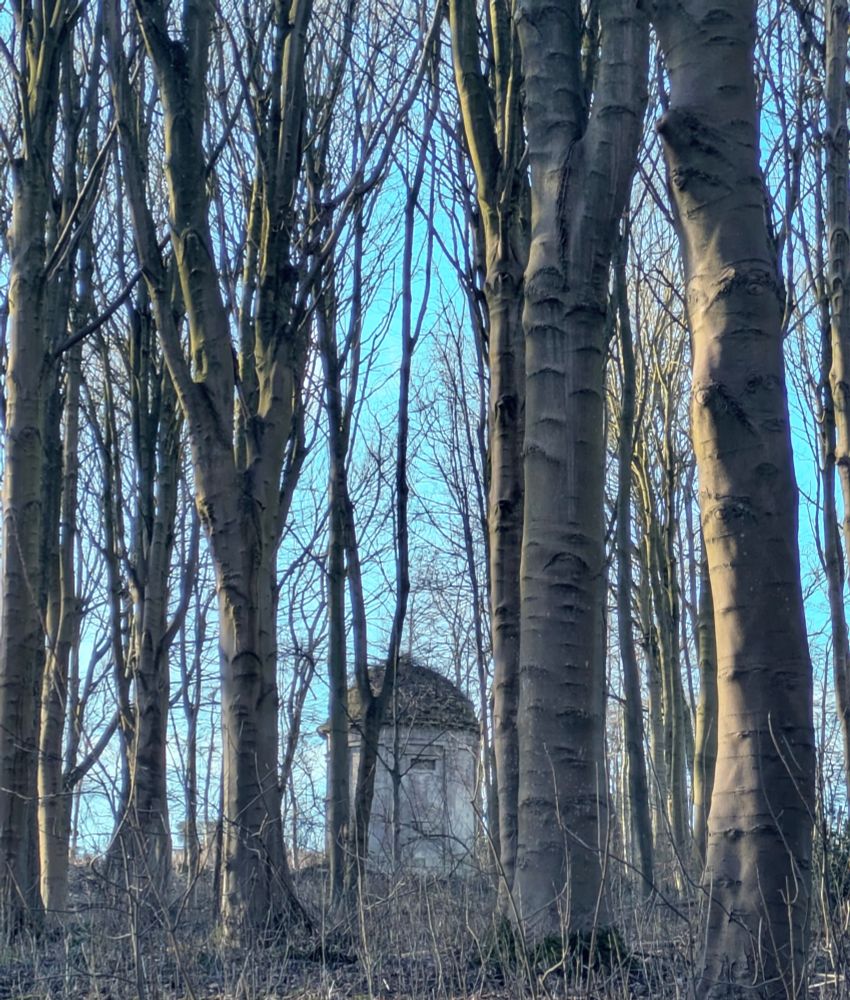 Tall grey-ish trees hide a round-domed mausoleum 