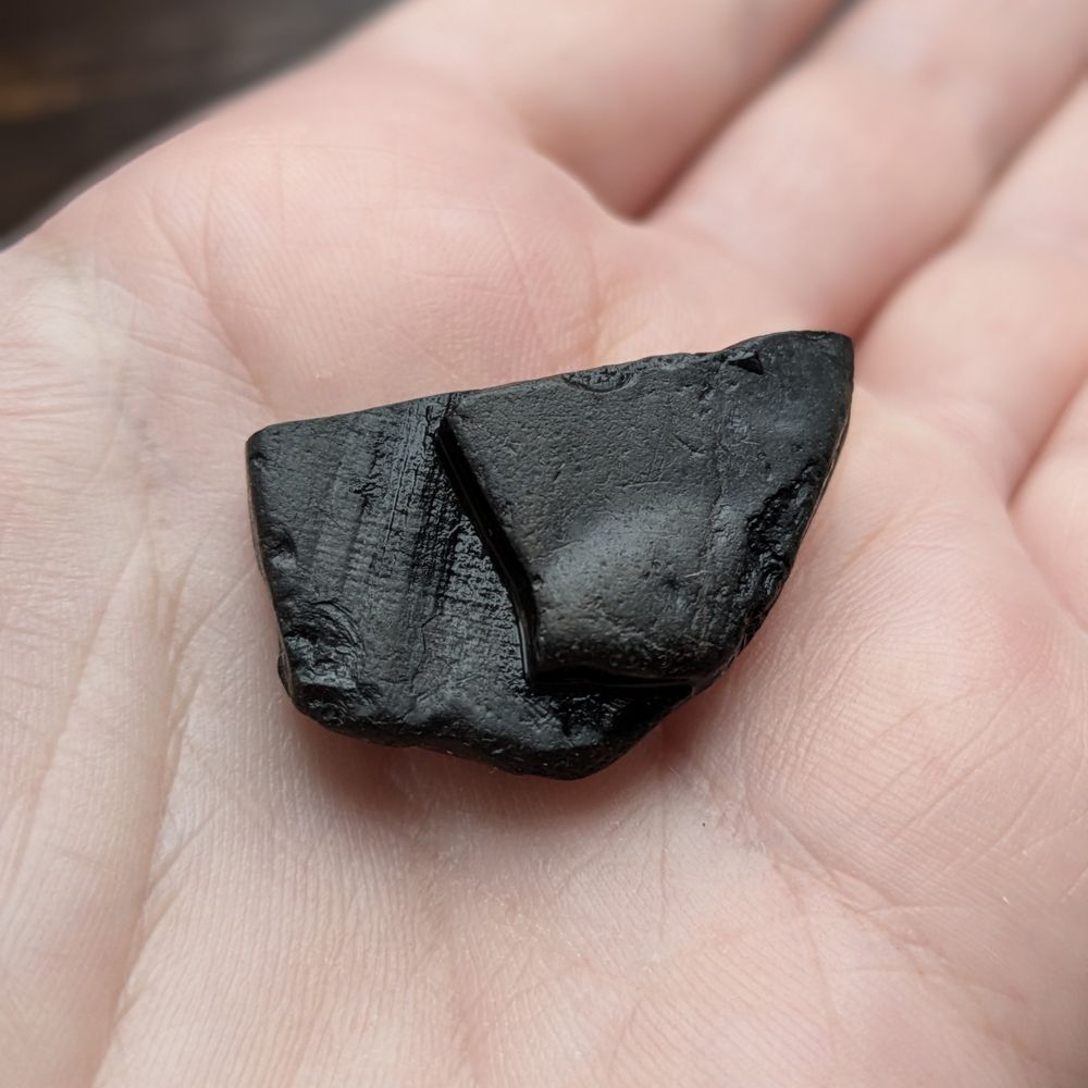 Close up photo of black jet on palm of hand