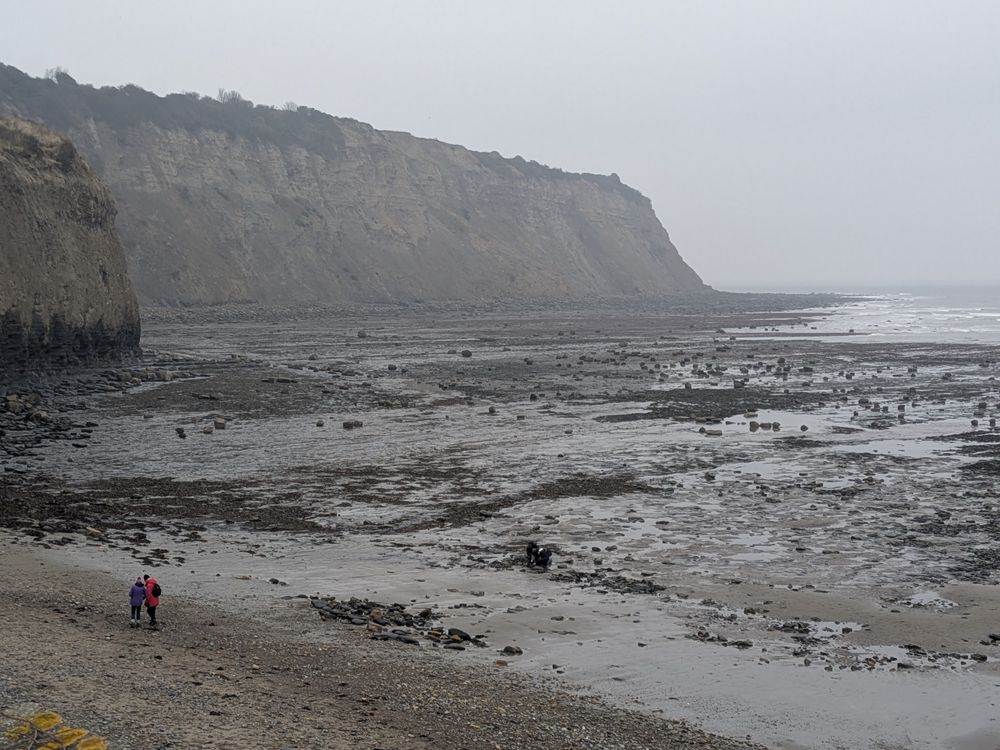 Cliffs and wet beach with tide out on a misty day at Robin Hood's Bay.