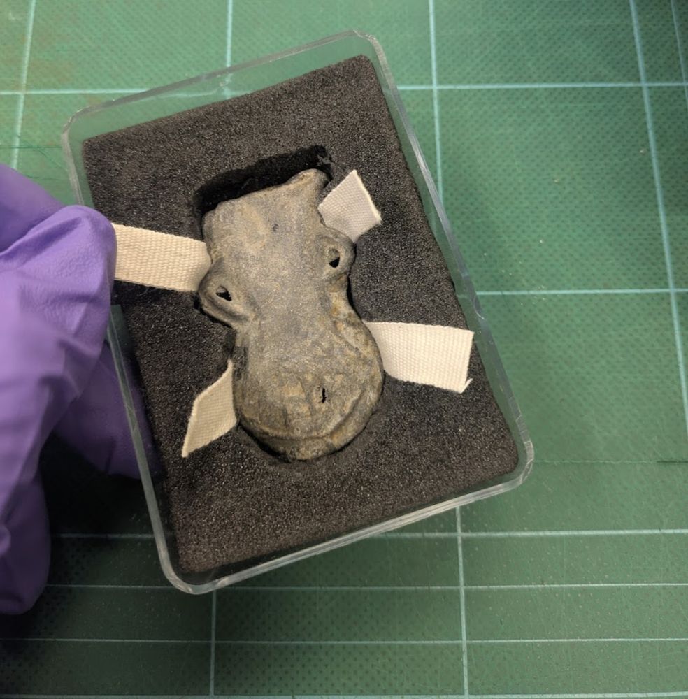 Lead pilgrim's ampulla surrounded by black foam padding in a plastic box, held by a hand in a purple plastic glove. 