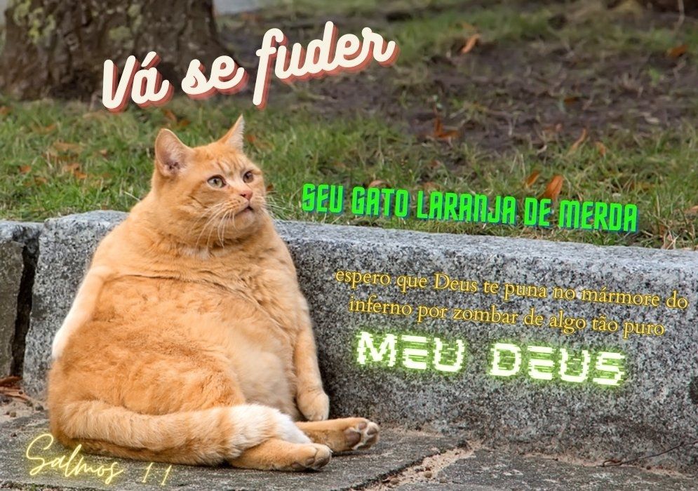 Gato laranja gordinho sentado perto da grama, com legenda que diz VÁ SE FUDER SEU LARANJA DE MERSA ESPERO QUE DEUS TE PUNA NO MÁRMORE DO INFERNO POR ZOMBAR DE ALGO TÃO PURO MEU DEUS