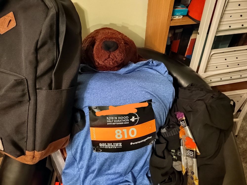 Picture of a backpack next to a running t shirt and shorts. The t shirt is placed over a djungleskog