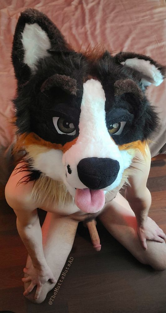 A dogboy with hungry eyes kneels patiently in front of you, waiting for your attention. 