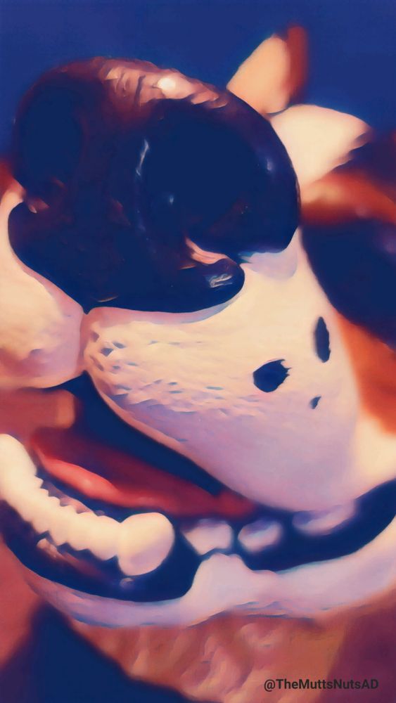 A cryptic closeup. 