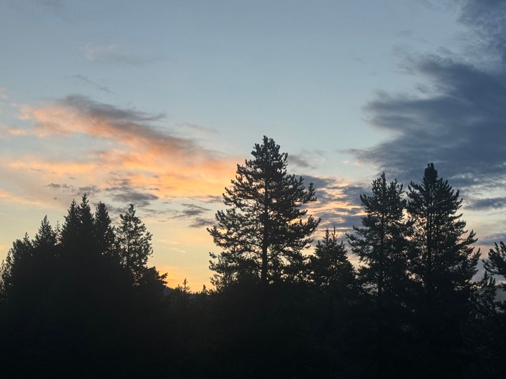 This picture captures a tranquil Montana morning just before sunrise. Tall evergreen trees stand in dark, quiet silhouette, their jagged outlines sharp against the early light. The sky is beginning to wake—soft golden and peach tones glow low on the horizon, fading upward into a gentle blue. Wisps of clouds drift across, some brushed with warm light, others still wrapped in cool gray. The air feels crisp and still, the world hushed, as if the land is holding its breath for the sun’s arrival. It’s a serene moment where night hasn’t quite let go, but day is already whispering its way in.