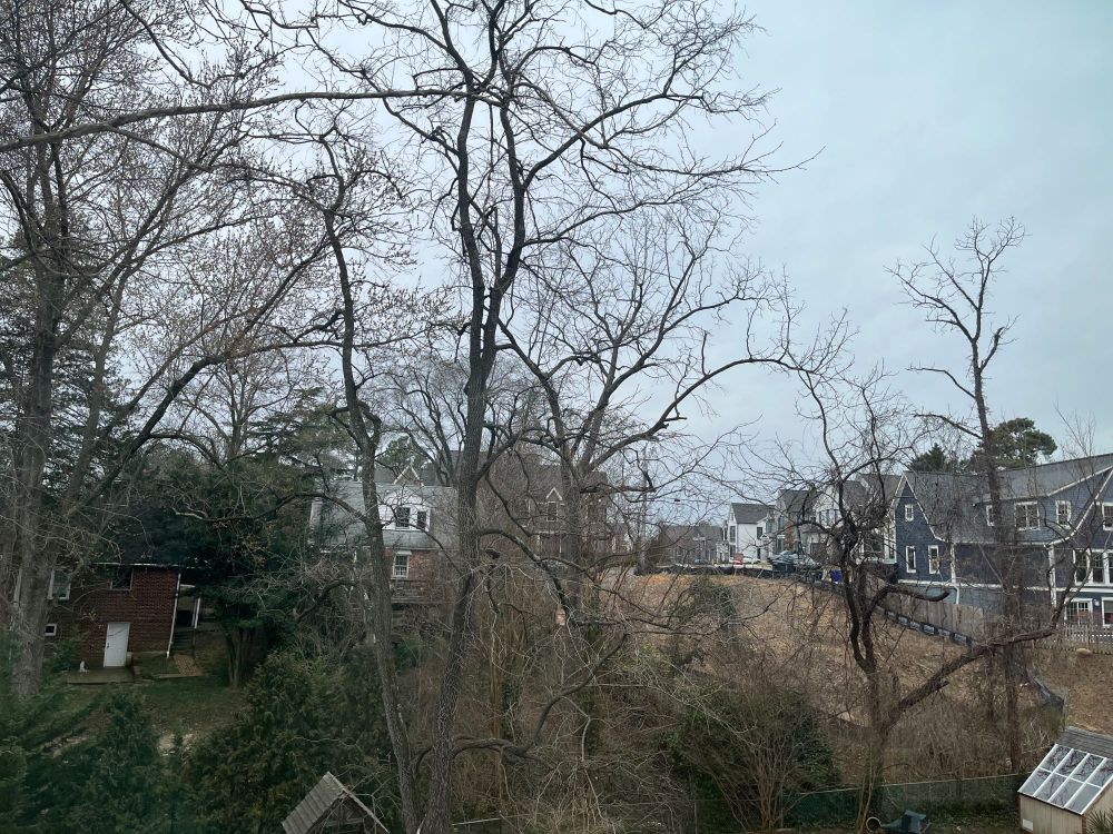 An empty, undeveloped lot surrounded by large single family housing.