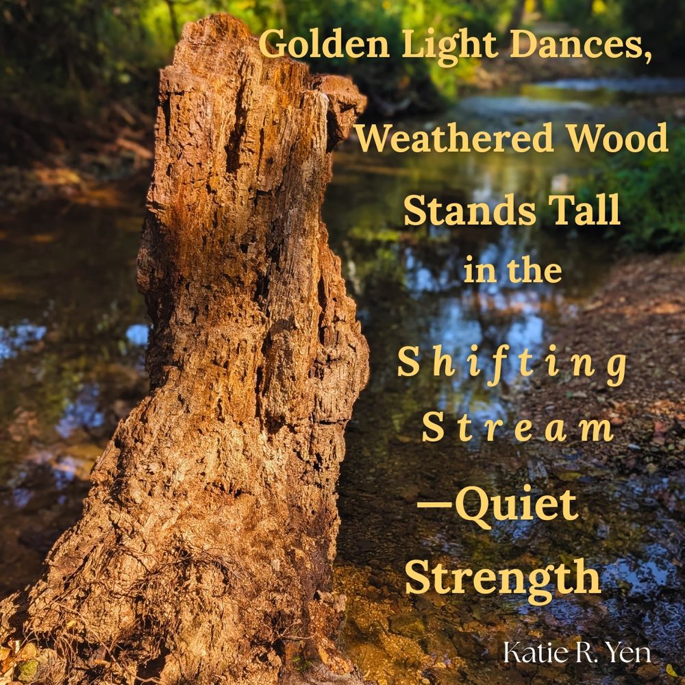 A tree stump in the middle of a stream illuminated by warm golden light with a poem that reads: 
Golden Light Dances, 
Weathered Wood Stands Tall in the 
Shifting Stream—Quiet Strength 
by Katie R. Yen