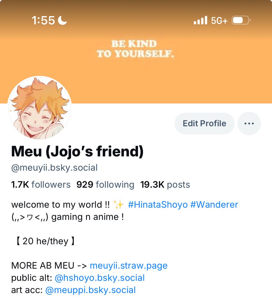 screenshot of my layout, Hinata Shoto themed !