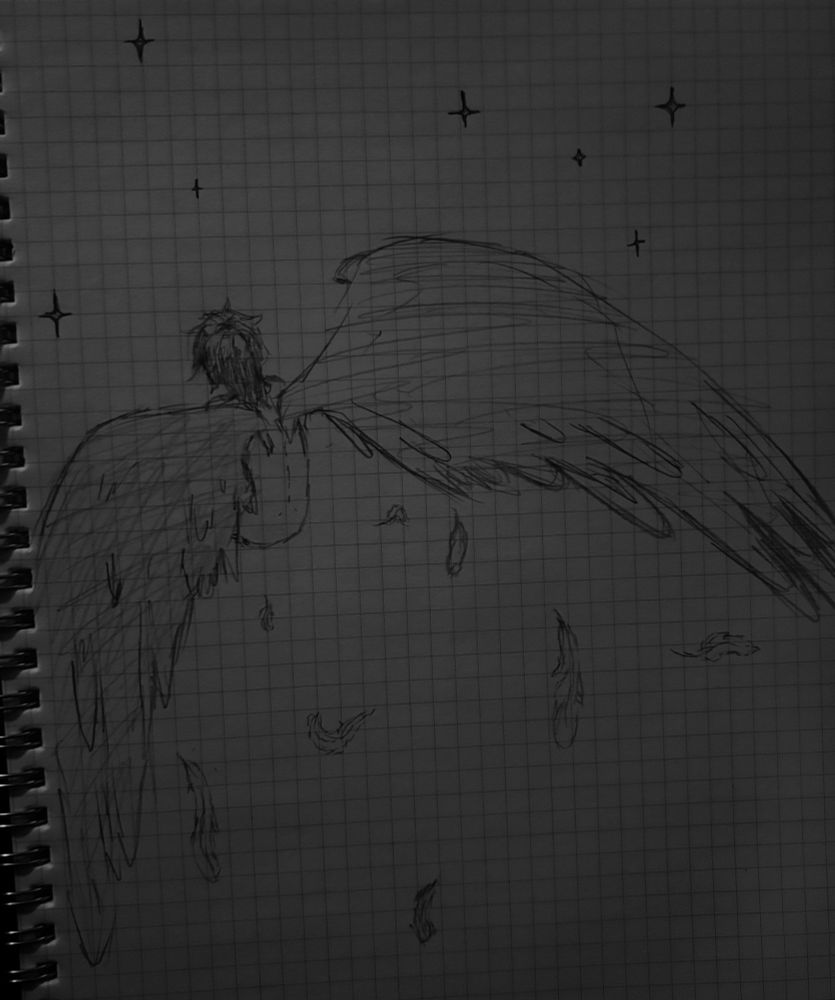 traditional sketch of an angel boy watching the stars, with his back facing us, black hair, a large pair of feathered wings, and feathers falling from his wings.

grey graphite on graph paper