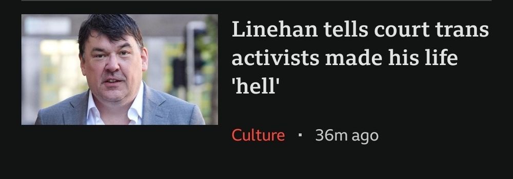 Linemhan tells court trans activists made his life 'hell'