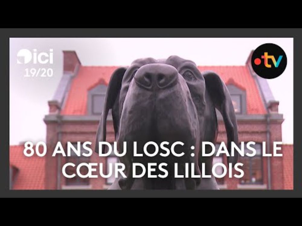 LOSC : dans le cœur des Lillois depuis 80 ans