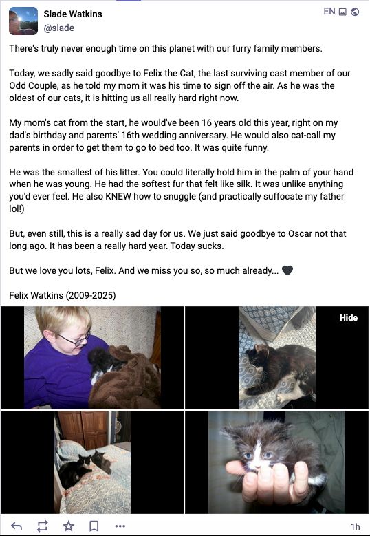 There's truly never enough time on this planet with our furry family members.

Today, we sadly said goodbye to Felix the Cat, the last surviving cast member of our Odd Couple, as he told my mom it was his time to sign off the air. As he was the oldest of our cats, it is hitting us all really hard right now.

My mom's cat from the start, he would've been 16 years old this year, right on my dad's birthday and parents' 16th wedding anniversary. He would also cat-call my parents in order to get them to go to bed too. It was quite funny.

He was the smallest of his litter. You could literally hold him in the palm of your hand when he was young. He had the softest fur that felt like silk. It was unlike anything you'd ever feel. He also KNEW how to snuggle (and practically suffocate my father lol!)

But, even still, this is a really sad day for us. We just said goodbye to Oscar not that long ago. It has been a really hard year. Today sucks.

But we love you lots, Felix. And we miss you so, so much already... 🖤

Felix Watkins (2009-2025)