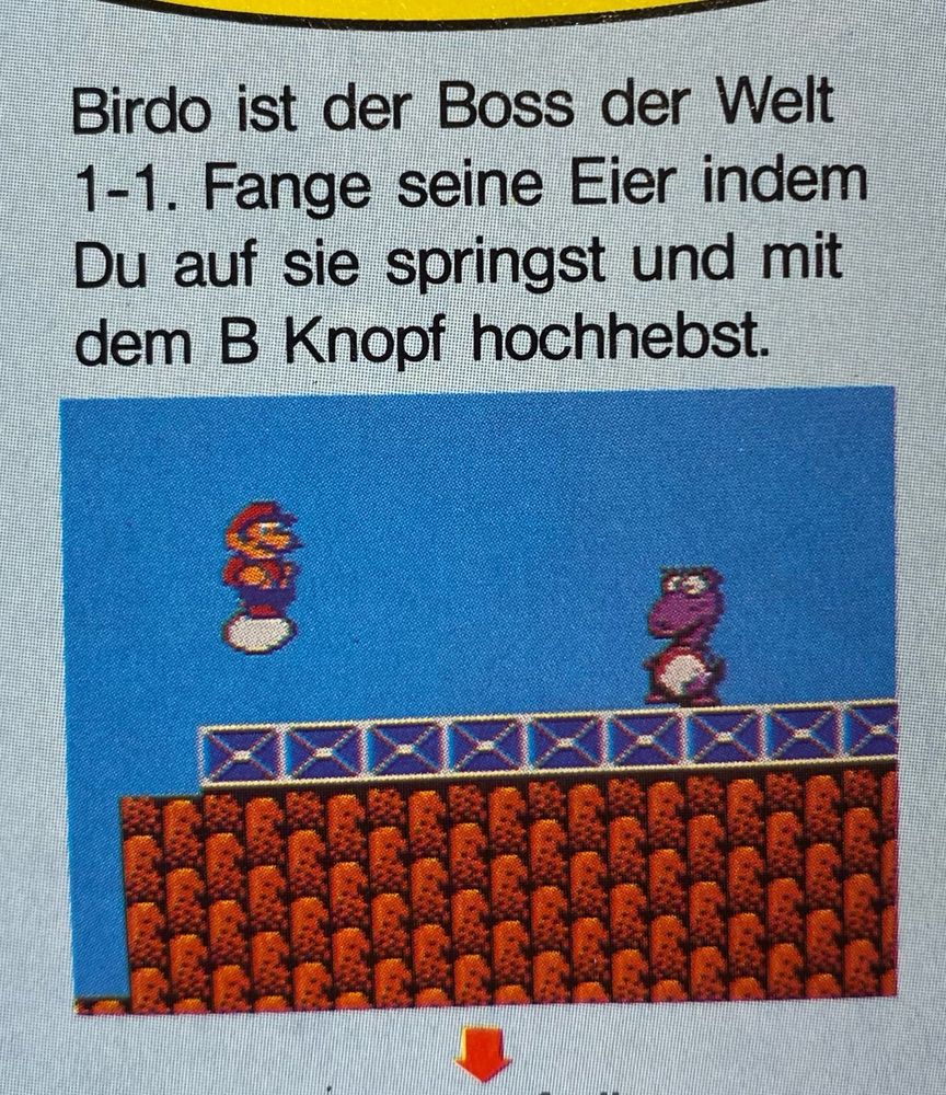 Now it’s 1990 and she’s Birdo