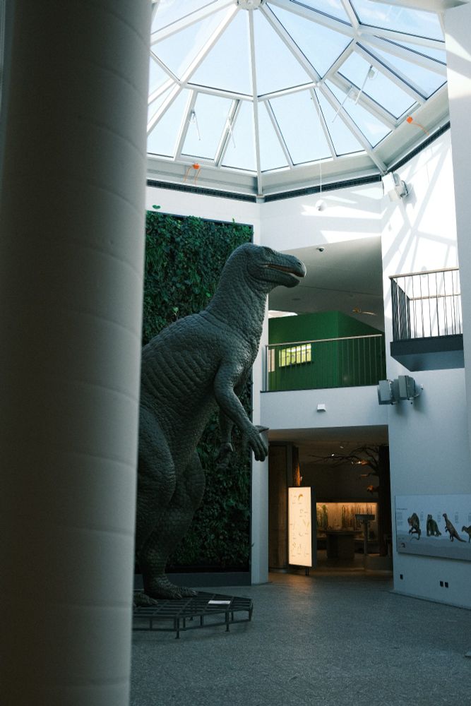Entrance of the naturkundemuseum Dortmund with a giant dinosaur in the center. Glass ceiling.