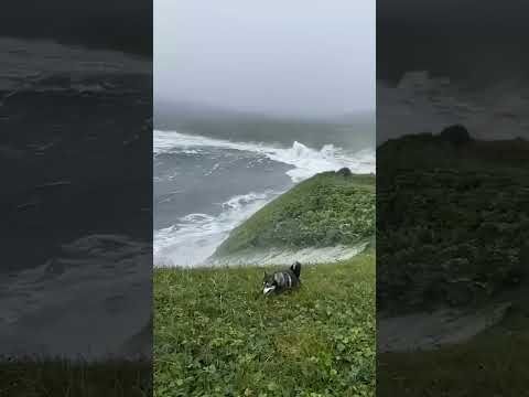 MASSIVE Tsunami Hits Pionerskaya Bay, Kamchatka, Russia (HQ)