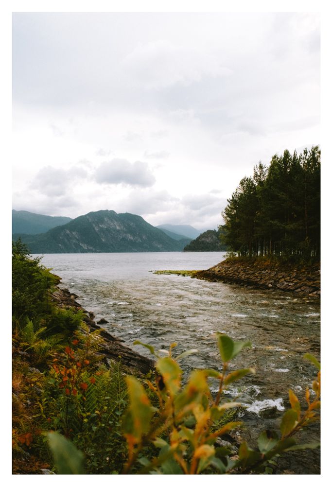 Photo of a river leading into a Norwegian fjord. Some mountains in the distance. Trees and greens left and right of the river.