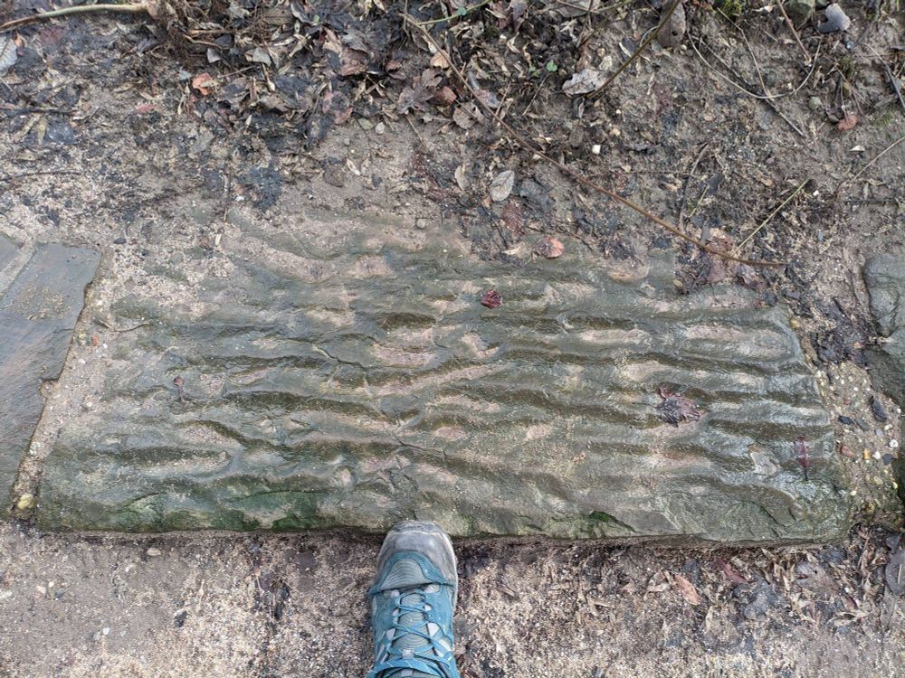 Picture showing my shoe on a boulder with wave ripple marks