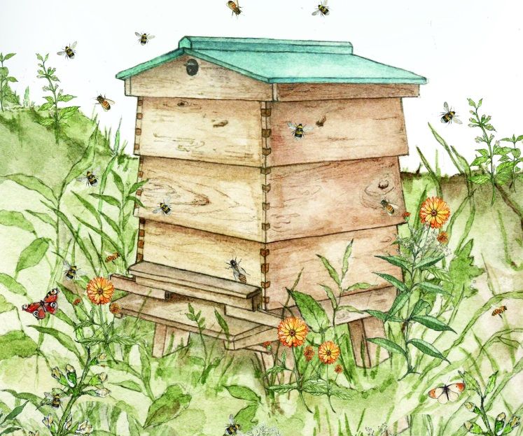 A blue-topped wooden beehive is nestled in a green patch surrounded with thistles, wildflowers, butterflies and bees