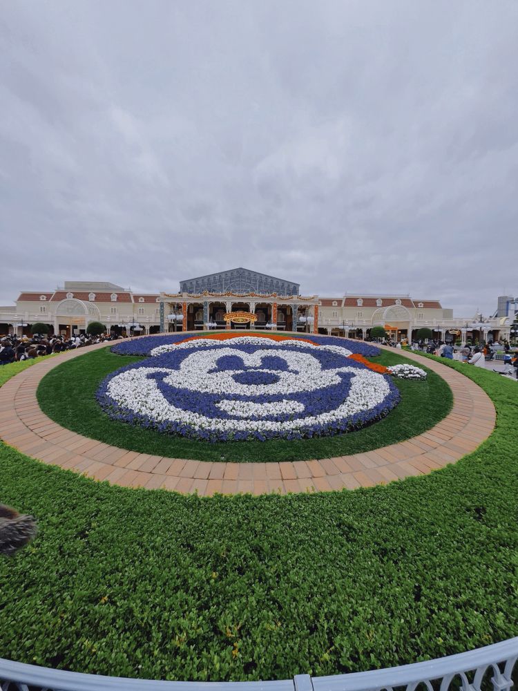 花壇。サンタ帽を被ったキャラクターのミッキーマウスが白と紫と赤の花で描かれている。