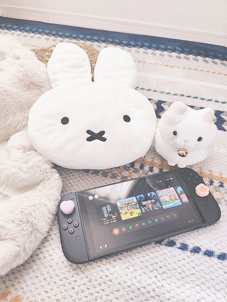 ぬいぐるみ　ぬい撮り　ぬい活　ミッフィー　Switch2　夜廻と深夜廻