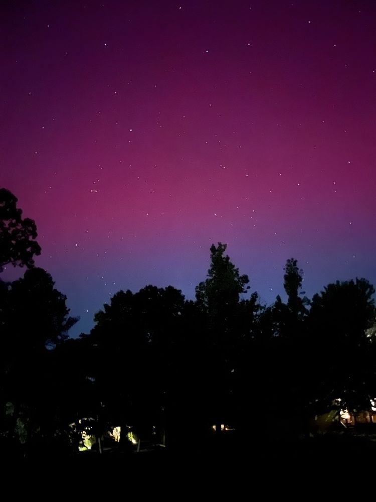 Pink and purple Aurora and stars above trees