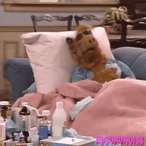 a stuffed animal is laying on a couch with a pink blanket and a pillow .