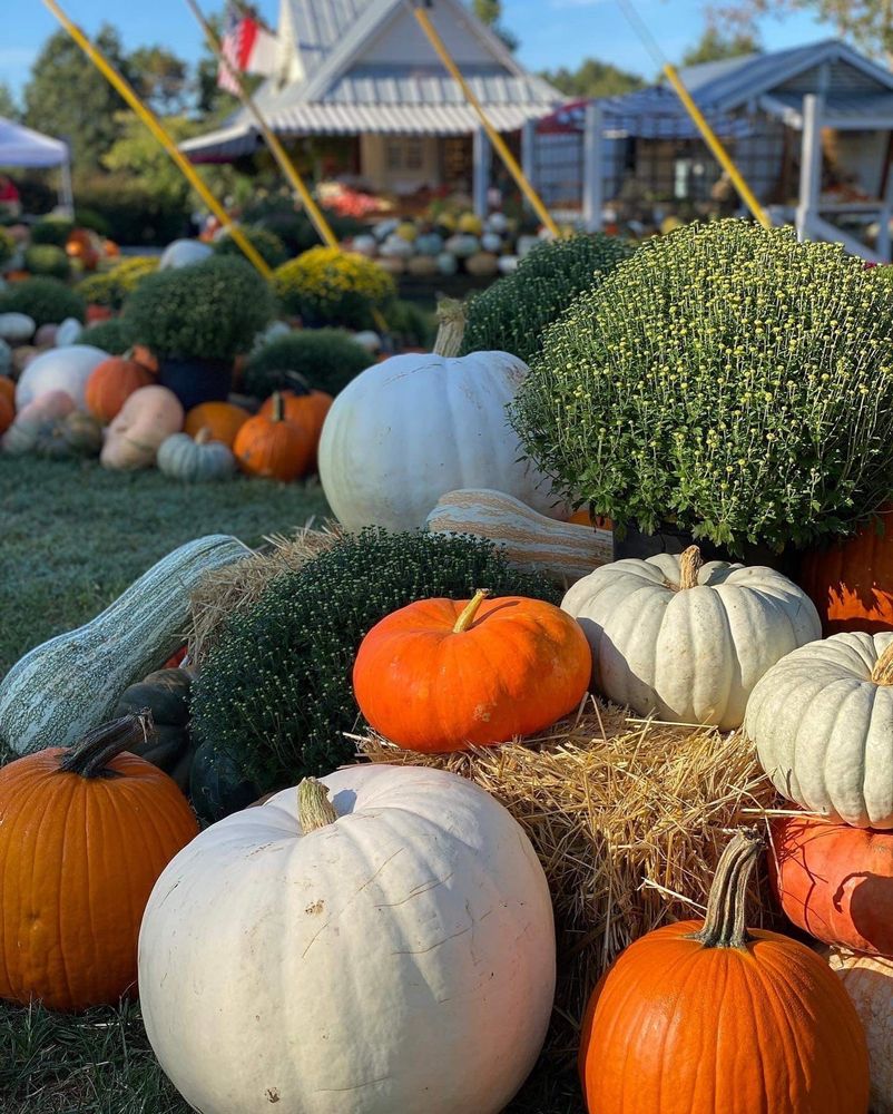 Picture with assorted pumpkins sitting on a bale of hay. A produce stand is in the background.