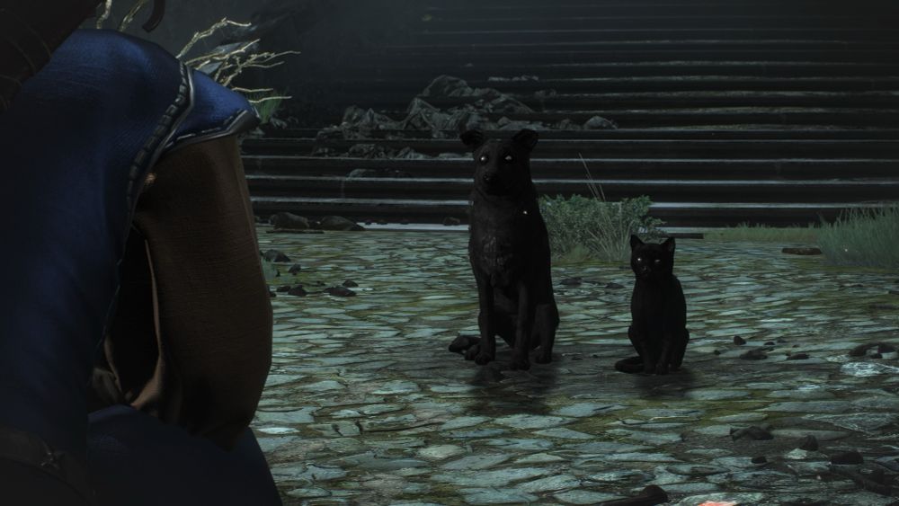 並んでお座りしてて仲良しなんだね、素敵だねって思っていたゲラルド