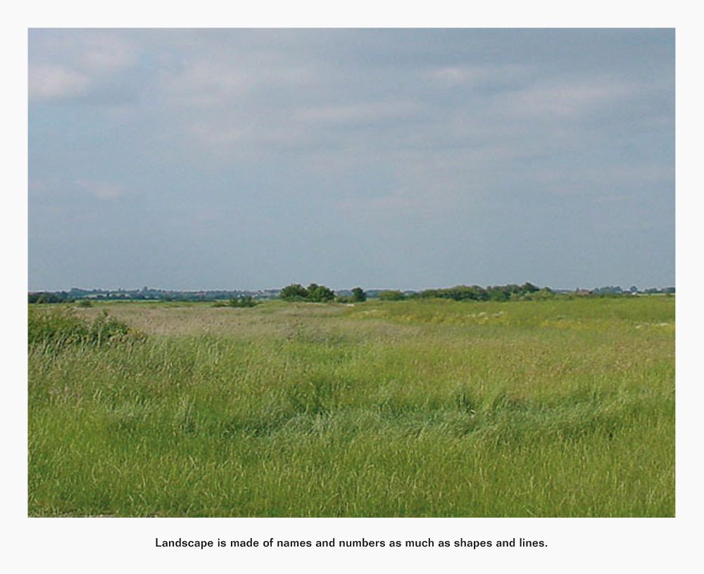 A colour photograph of a flat landscape showing a foreground of long grass, with an equal amount of blue sky above a distant tree-lined horizon. Beneath is a text in black type: Landscape is made of names and numbers as much as shapes and lines.