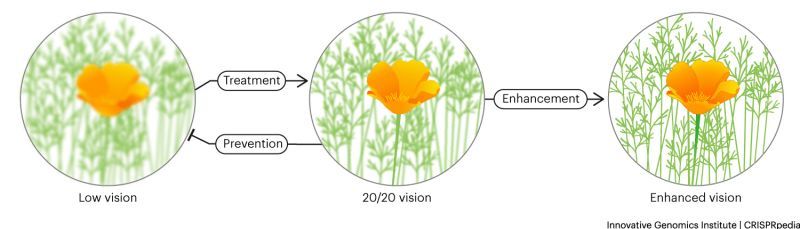 illustration shows poppies that are clear or fuzzy to illustrate preventing versus treating disease or enhancing a trait