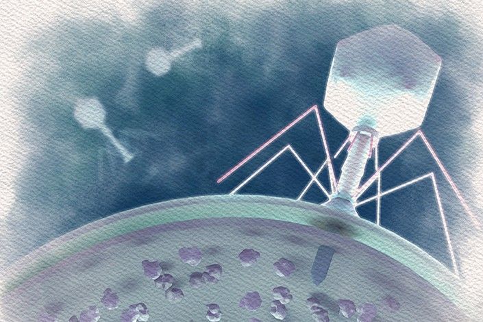 illustration of a phage infecting a bacterium