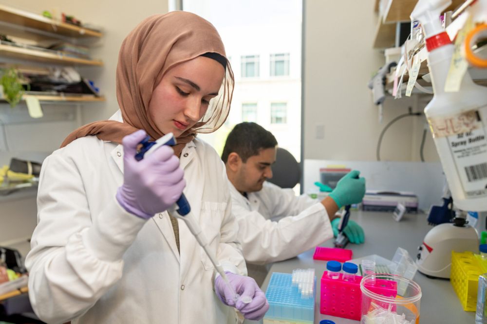 Aysel Ogul, an undergraduate research assistant at the IGI, pipetting in the lab with her mentor Kevin Briseno